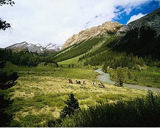 《CyberTaxi》Steam抢先体验 战斗版出租车