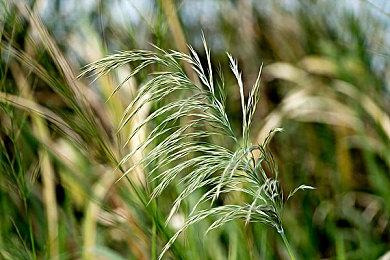 Steam新一周销量榜 《艾尔登法环》五连冠